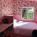 Dağ evi Fern Valley Tiny House Virginia