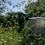 Fern Valley Tiny House Dağ evi *