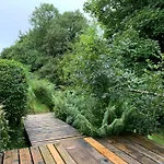 Fern Valley Tiny House Dağ evi *