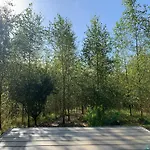 Dağ evi Fern Valley Tiny House *