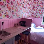 Fern Valley Tiny House Dağ evi Virginia