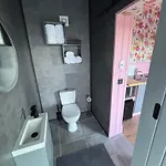 Fern Valley Tiny House Dağ evi
