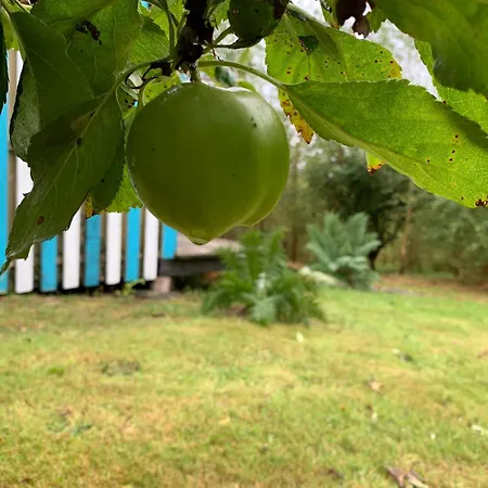 Chalet Fern Valley Tiny House *