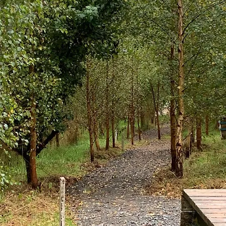 Chalet Fern Valley Tiny House