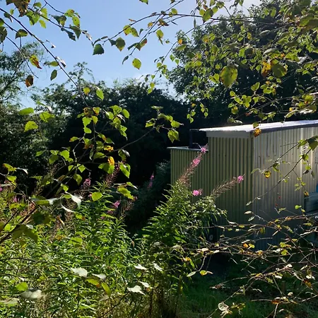 Fern Valley Tiny House شاليه *