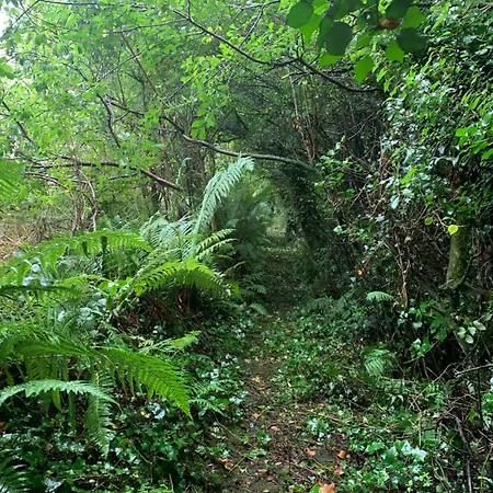 Chalet Fern Valley Tiny House Virginia