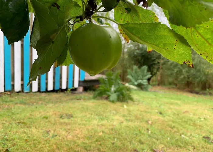 Chalet Fern Valley Tiny House *