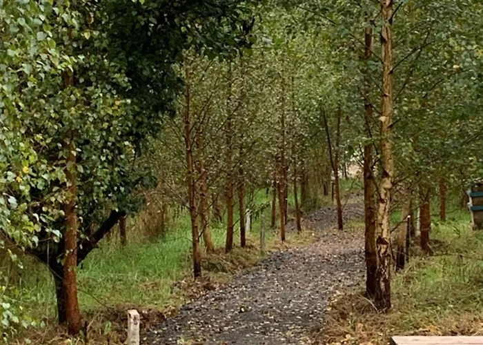 Alpesi faház Fern Valley Tiny House