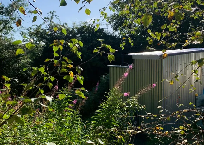 Fern Valley Tiny House Alpesi faház *