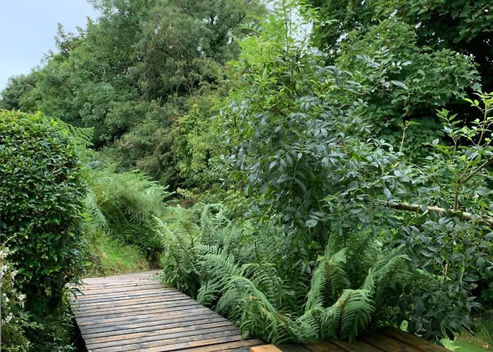 Fern Valley Tiny House Alpesi faház *