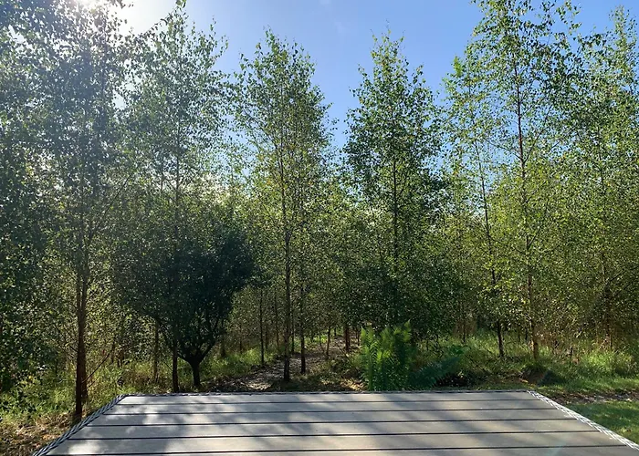 Chalet Fern Valley Tiny House *