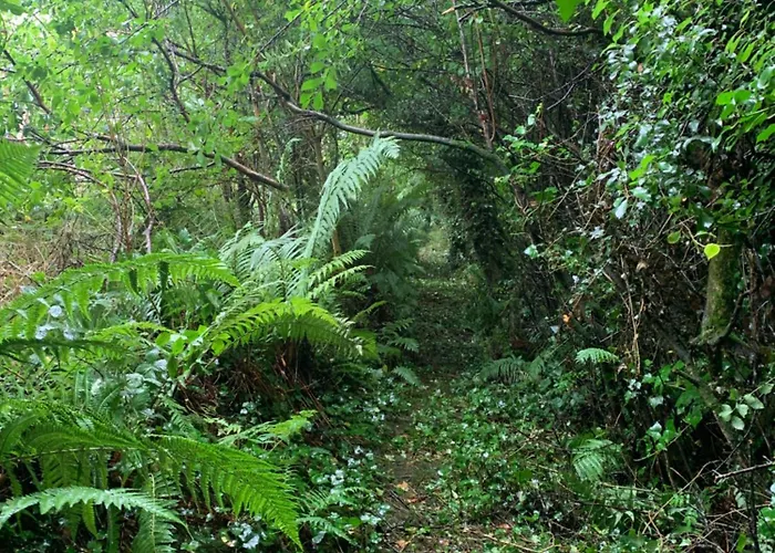 Alpesi faház Fern Valley Tiny House Virginia
